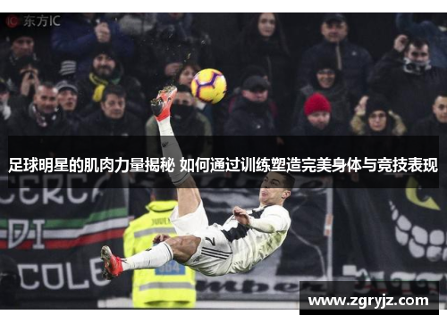 足球明星的肌肉力量揭秘 如何通过训练塑造完美身体与竞技表现